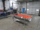 2013 Pizzamatic Band Conveyor